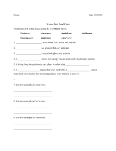 Science Test: Food Chain