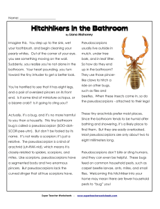 Hitchhikers in the Bathroom: Pseudoscorpion Worksheet