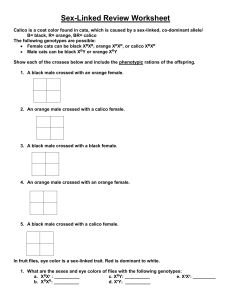 Sex-Linked Review Worksheet: Genetics Exercises
