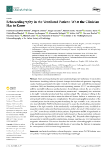 Echocardiography in Ventilated Patients: Clinician's Guide