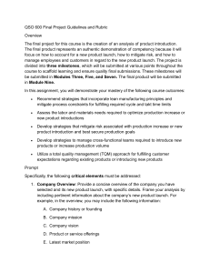 QSO 600 Final Project Guidelines & Rubric