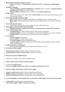 Neuroanatomy Study Guide: Q&A on Brain Anatomy