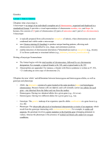 Genetics Lecture Notes: Introduction to Genetics