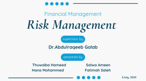 Risk Management Research: Corporate Governance & ERM Impact