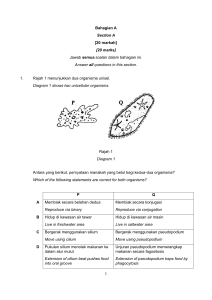 Biology Exam Paper: Cell Biology & Physiology Questions