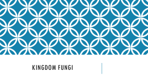 Kingdom Fungi: Characteristics, Nutrition, and Uses