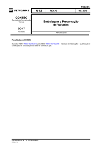 Embalagem e Preserva&ccedil;&atilde;o de V&aacute;lvulas - Petrobras N-12