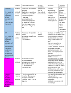 Hormonas Gastrointestinales: Gastrina, CCK, Secretina