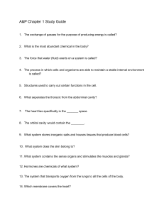 A&P Chapter 1 Study Guide Questions