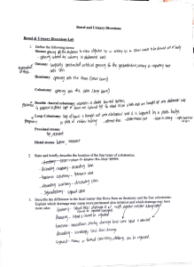 Bowel & Urinary Diversions Lab Worksheet