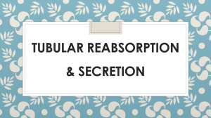 Tubular Reabsorption & Secretion: Urine Formation