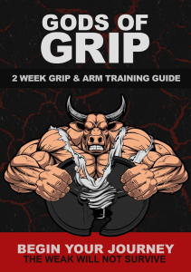 2 Week Grip & Arm Training Guide by Gods Of Grip