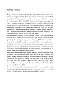 Aflatoxin Production by Aspergillus flavus: pH and Nitrogen Effects