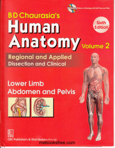 BD Chaurasia's Human Anatomy Vol 2: Lower Limb, Abdomen & Pelvis