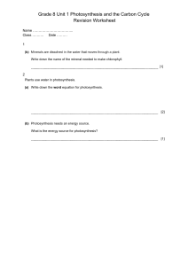 Grade 8 Photosynthesis & Carbon Cycle Revision Worksheet