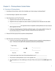 Photosynthesis Guided Notes Chapter 8