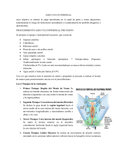 Procedimiento Aseo Vulvoperineal Pre-parto