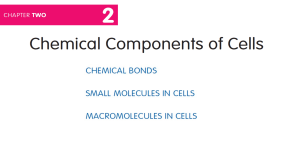 Chemical Components of Cells - Chapter 2