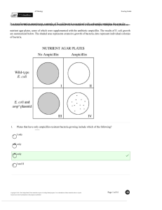 AP Biology Unit 6 Scoring Guide: Transformation Experiment