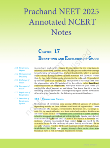 Breathing and Exchange of Gases NCERT Notes NEET 2025