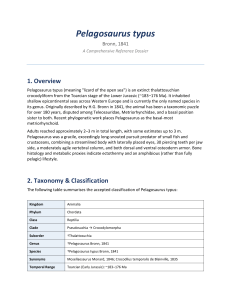 Pelagosaurus typus: Comprehensive Reference Dossier