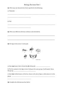 Biology Revision Part 1 Worksheet
