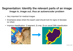 Image Segmentation: Autoencoder Approach for Medical & Classification