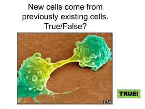 Biology: Cells and Organelles - True/False Questions