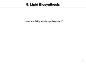 Lipid Biosynthesis: Fatty Acid Synthesis