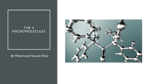 The 4 Macromolecules: Carbohydrates, Lipids, Proteins, Nucleic Acids