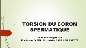Torsion du cordon spermatique : urgence urologique