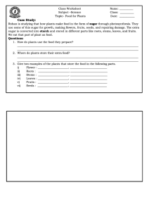 Class Worksheet: Food for Plants - Science