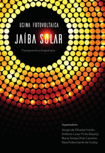 Usina Fotovoltaica Ja&iacute;ba Solar: Planejamento e Engenharia