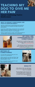 Teaching My Dog to Give Her Paw: Operant Conditioning