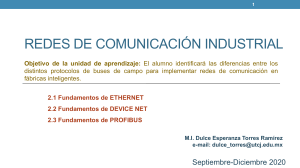 Redes de Comunicaci&oacute;n Industrial: Fundamentos de Ethernet, DeviceNet y Profibus