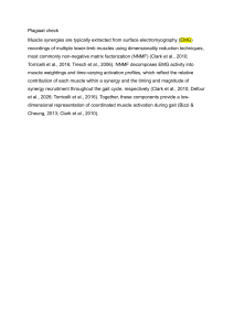 Muscle Synergies from EMG Recordings: NNMF Analysis