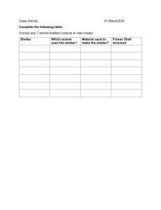 Animal Shelter Class Activity Worksheet