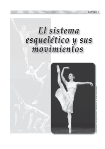 Anatom&iacute;a y cinesiolog&iacute;a de la danza: El sistema esquel&eacute;tico