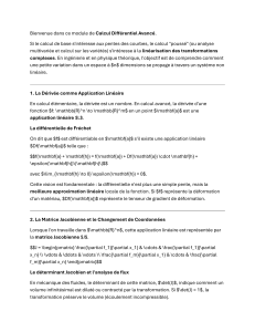 Calcul Diff&eacute;rentiel Avanc&eacute; : Module d'Analyse Math&eacute;matique