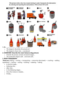 Tomato Ketchup Production Process Diagram