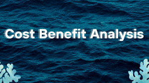 Cost-Benefit Analysis: Guide to Public Expenditure Decisions