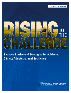 Rising to the Challenge: Climate Adaptation Strategies
