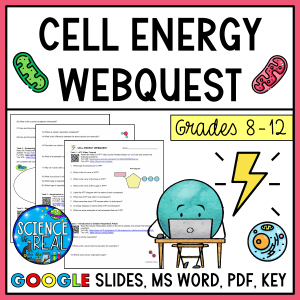 Cell Energy Webquest: ATP, Photosynthesis, Respiration