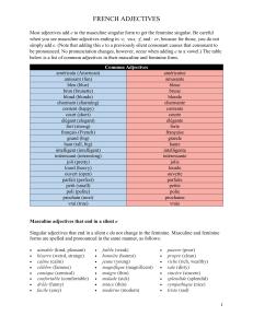 Adjetivos Franceses: Guia de Formas Femininas Singulares