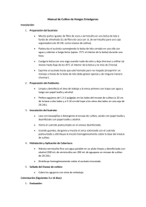 Manual de Cultivo de Hongos Ente&oacute;genos