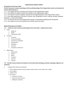 Integumentary System Outline: Anatomy, Functions, Diseases