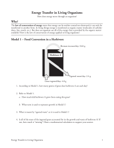Energy Transfer in Living Organisms: High School Biology POGIL Activity
