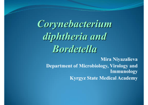 Corynebacterium diphtheriae and Bordetella pertussis: Microbiology and Pathogenesis