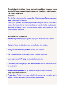 Cleaning Documentation Form: Industrial Process Record