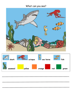 What Can You See? Marine Life Identification Worksheet